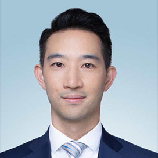 Nicholas S. K. Fung